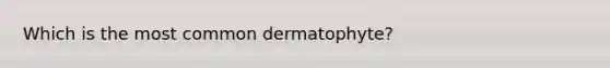 Which is the most common dermatophyte?