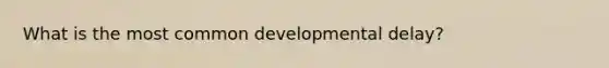 What is the most common developmental delay?