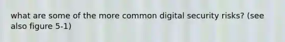 what are some of the more common digital security risks? (see also figure 5-1)