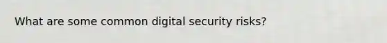 What are some common digital security risks?