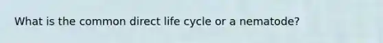 What is the common direct life cycle or a nematode?