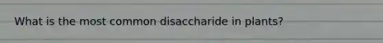 What is the most common disaccharide in plants?