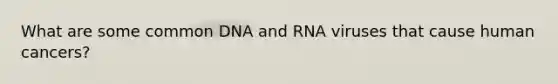 What are some common DNA and RNA viruses that cause human cancers?