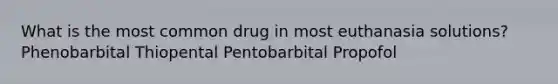 What is the most common drug in most euthanasia solutions? Phenobarbital Thiopental Pentobarbital Propofol