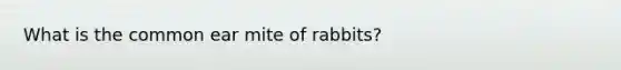 What is the common ear mite of rabbits?