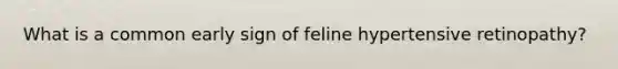 What is a common early sign of feline hypertensive retinopathy?