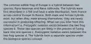 The common edible frog of Europe is a hybrid between two species, Rana lessonae and Rana ridibunda. The hybrids were first described in 1758 and have a wide distribution, from France across central Europe to Russia, Both male and female hybrids exist, but when they mate among themselves, they are rarely successful in producing offspring. What can you infer from this information? a. Prezygotic isolation exists between the two frog species b. These two species are likely in the process of fusing back into one species c. Postzygotic isolation exists between the two frog species d. The hybrids form a separate species under the biological species concept