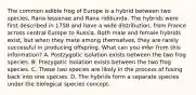 The common edible frog of Europe is a hybrid between two species, Rana lessonae and Rana ridibunda. The hybrids were first described in 1758 and have a wide distribution, from France across central Europe to Russia. Both male and female hybrids exist, but when they mate among themselves, they are rarely successful in producing offspring. What can you infer from this information? A. Postzygotic isolation exists between the two frog species. B. Prezygotic isolation exists between the two frog species. C. These two species are likely in the process of fusing back into one species. D. The hybrids form a separate species under the biological species concept.