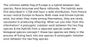 The common edible frog of Europe is a hybrid between two species, Rana lessonae and Rana ridibunda. The hybrids were first described in 1758 and have a wide distribution, from France across central Europe to Russia. Both male and female hybrids exist, but when they mate among themselves, they are rarely successful in producing offspring. What can you infer from this information? A prezygotic isolation exist between the two frog species B the hybrids from a separate species under the biological species concept C these two species are likely in the process of fusing back into one species D postzygotic isolation exist between the two frog species