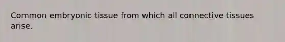 Common embryonic tissue from which all <a href='https://www.questionai.com/knowledge/kYDr0DHyc8-connective-tissue' class='anchor-knowledge'>connective tissue</a>s arise.