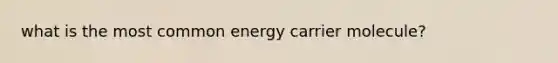 what is the most common energy carrier molecule?