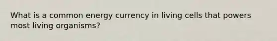 What is a common energy currency in living cells that powers most living organisms?