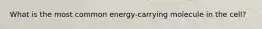 What is the most common energy-carrying molecule in the cell?