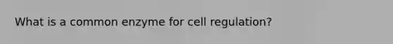 What is a common enzyme for cell regulation?