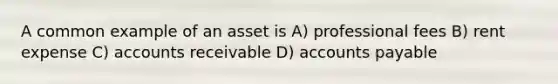 A common example of an asset is A) professional fees B) rent expense C) accounts receivable D) accounts payable