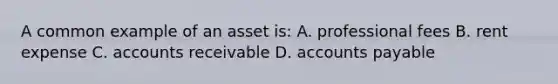 A common example of an asset is: A. professional fees B. rent expense C. accounts receivable D. accounts payable