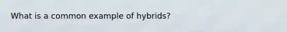 What is a common example of hybrids?