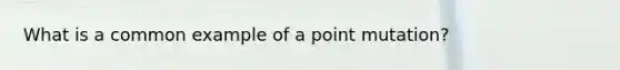 What is a common example of a point mutation?