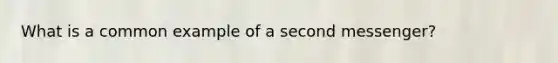 What is a common example of a second messenger?