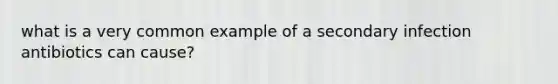 what is a very common example of a secondary infection antibiotics can cause?