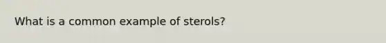 What is a common example of sterols?