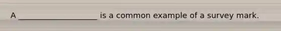 A ____________________ is a common example of a survey mark.