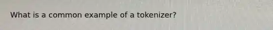 What is a common example of a tokenizer?