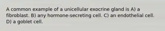 A common example of a unicellular exocrine gland is A) a fibroblast. B) any hormone-secreting cell. C) an endothelial cell. D) a goblet cell.