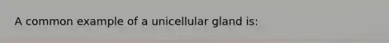 A common example of a unicellular gland is: