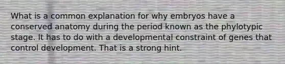 What is a common explanation for why embryos have a conserved anatomy during the period known as the phylotypic stage. It has to do with a developmental constraint of genes that control development. That is a strong hint.