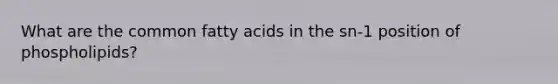 What are the common fatty acids in the sn-1 position of phospholipids?