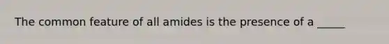 The common feature of all amides is the presence of a _____