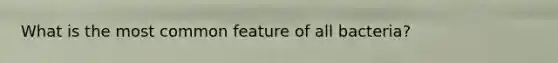 What is the most common feature of all bacteria?