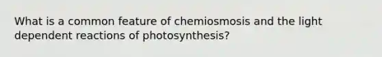 What is a common feature of chemiosmosis and the light dependent reactions of photosynthesis?