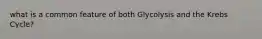 what is a common feature of both Glycolysis and the Krebs Cycle?