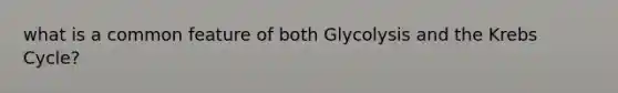 what is a common feature of both Glycolysis and the Krebs Cycle?