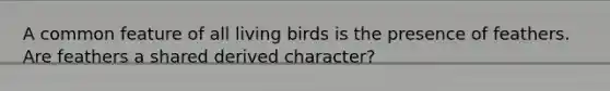 A common feature of all living birds is the presence of feathers. Are feathers a shared derived character?