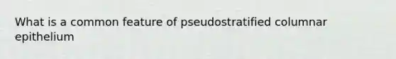 What is a common feature of pseudostratified columnar epithelium