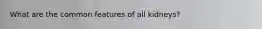 What are the common features of all kidneys?