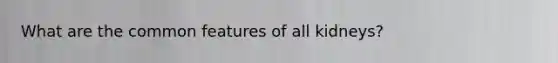 What are the common features of all kidneys?