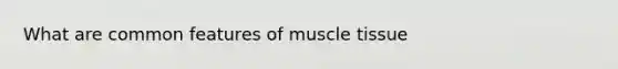 What are common features of muscle tissue