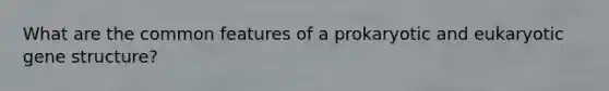 What are the common features of a prokaryotic and eukaryotic gene structure?