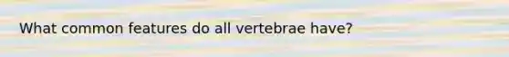 What common features do all vertebrae have?