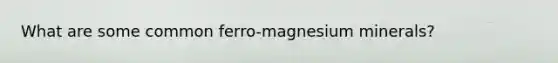 What are some common ferro-magnesium minerals?