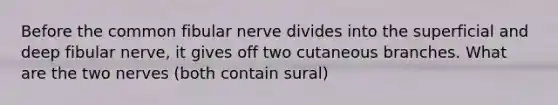 Before the common fibular nerve divides into the superficial and deep fibular nerve, it gives off two cutaneous branches. What are the two nerves (both contain sural)