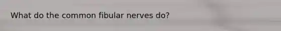 What do the common fibular nerves do?