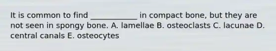 It is common to find ____________ in compact bone, but they are not seen in spongy bone. A. lamellae B. osteoclasts C. lacunae D. central canals E. osteocytes