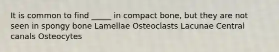 It is common to find _____ in compact bone, but they are not seen in spongy bone Lamellae Osteoclasts Lacunae Central canals Osteocytes