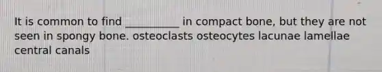 It is common to find __________ in compact bone, but they are not seen in spongy bone. osteoclasts osteocytes lacunae lamellae central canals