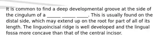 It is common to find a deep developmental groove at the side of the cingulum of a ______ ______ _____. This is usually found on the distal side, which may extend up on the root for part of all of its length. The linguoincisal ridge is well developed and the lingual fossa more concave than that of the central incisor.